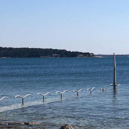 Apartment Gio Novigrad Istria 외부 사진